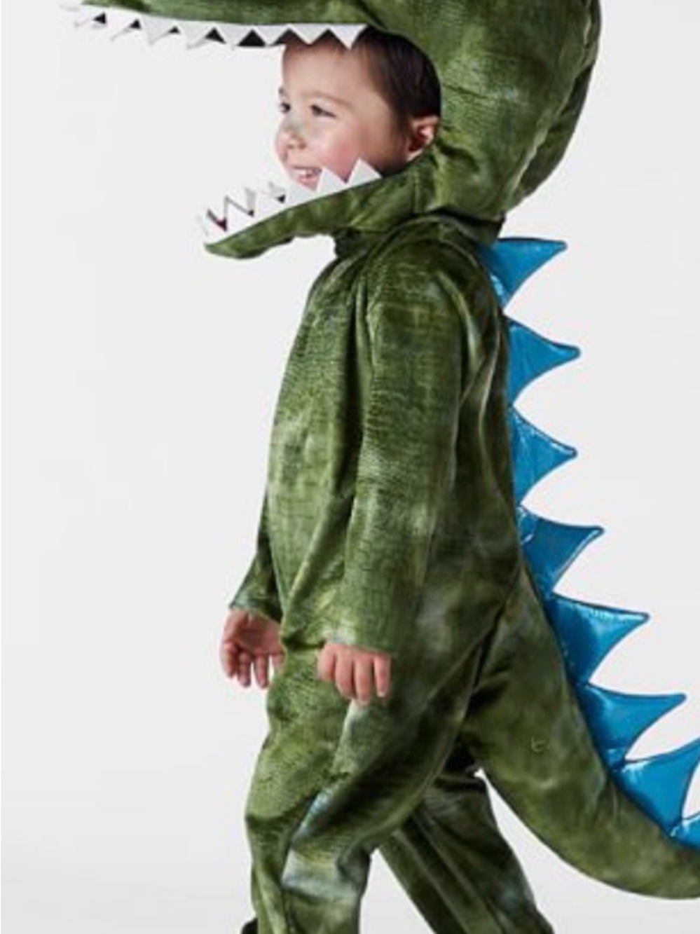 Pottery Barn Kids Halloween Kids T Rex Dinosaur Costume